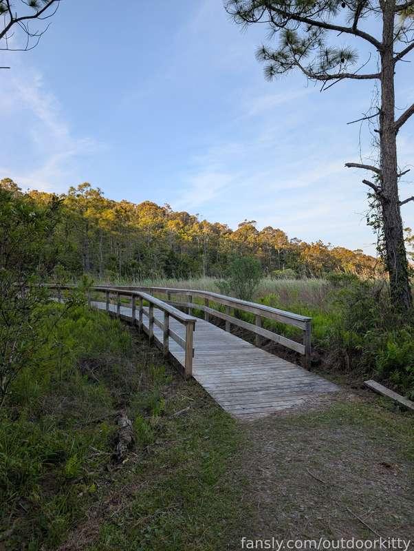 outdoorkitty image #14