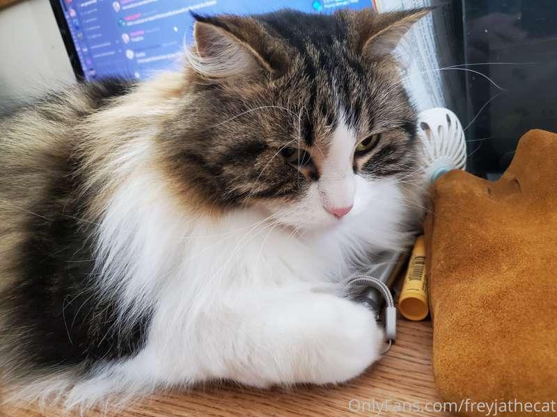 I have found it! The source of the Red Dot! Now to pry it ou..
