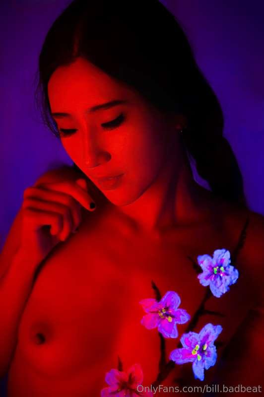Black Light Chinese