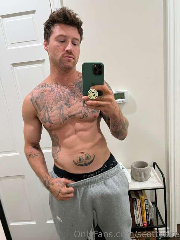 scottysire image #2