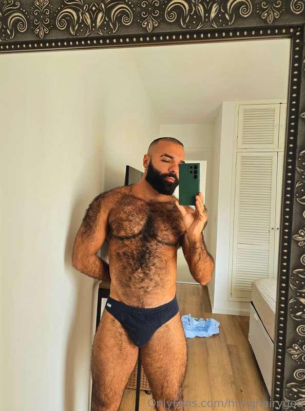 Briefs 