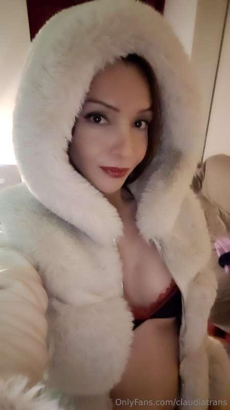 claudiatrans image #0