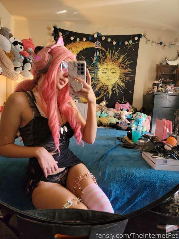 theinternetpet image #3