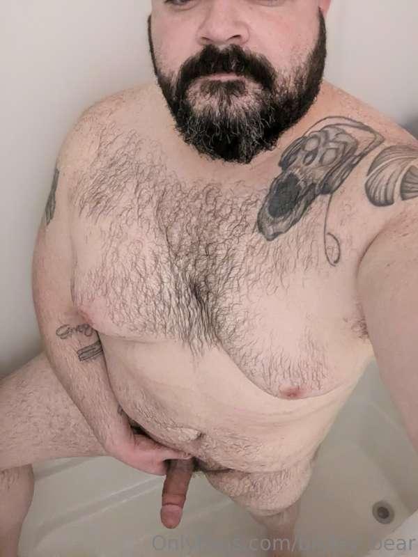 bryley_bear image #1