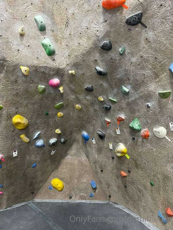 This dumb bitch right here