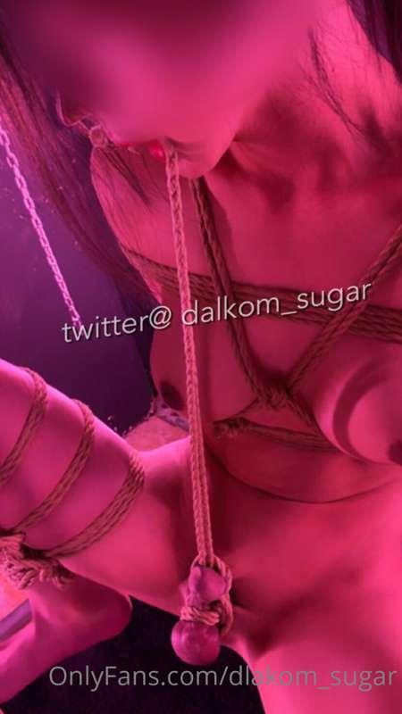 dalkom_sugar main image