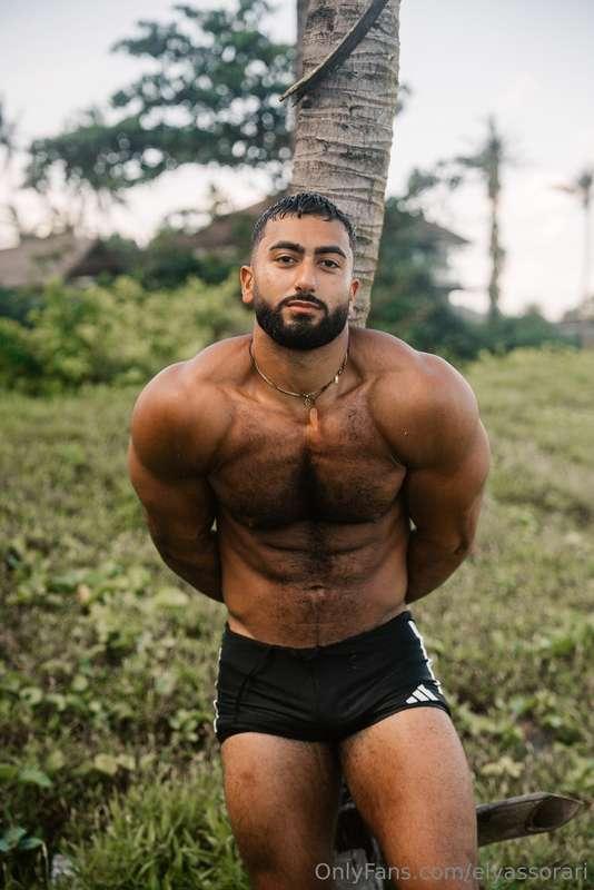tied to this tree, will you help me?🤔