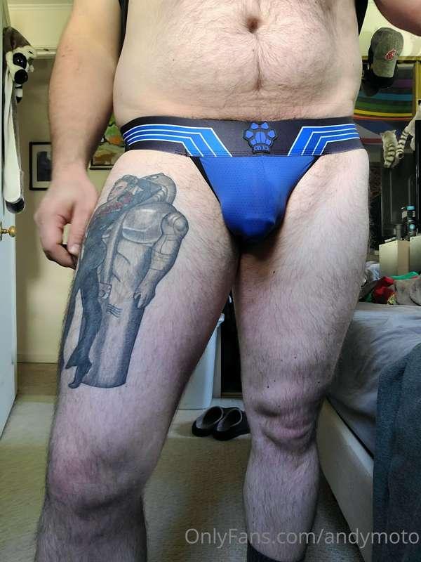 New pup jock, from cellblock13 kennel club.