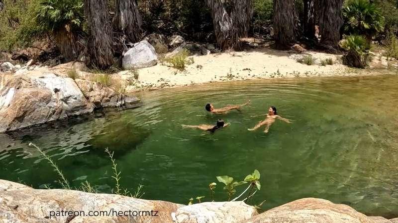 Raw | Underwater snake encounter