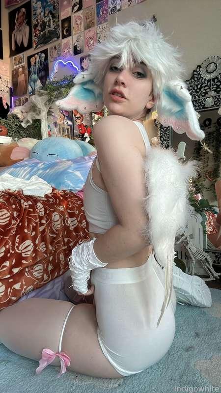 indigowhite image #58