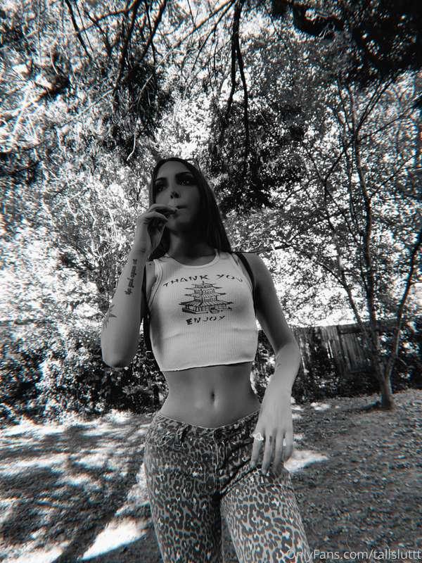 plutocoochie image #0