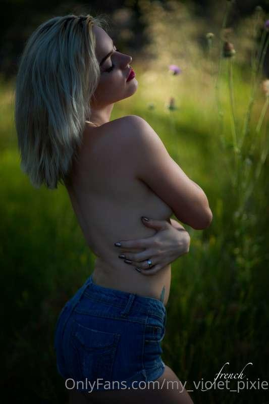 my_violet_pixie image #8