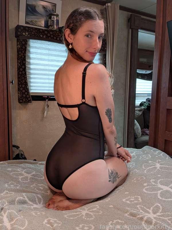 outdoorkitty image #15