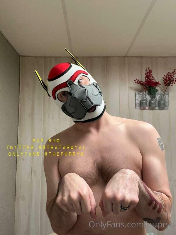 Pup is feeling playful