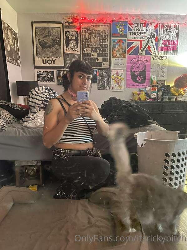 Hi, I’m bored and cute. Talk to me