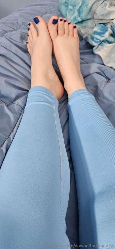 Is it blue or purple? 