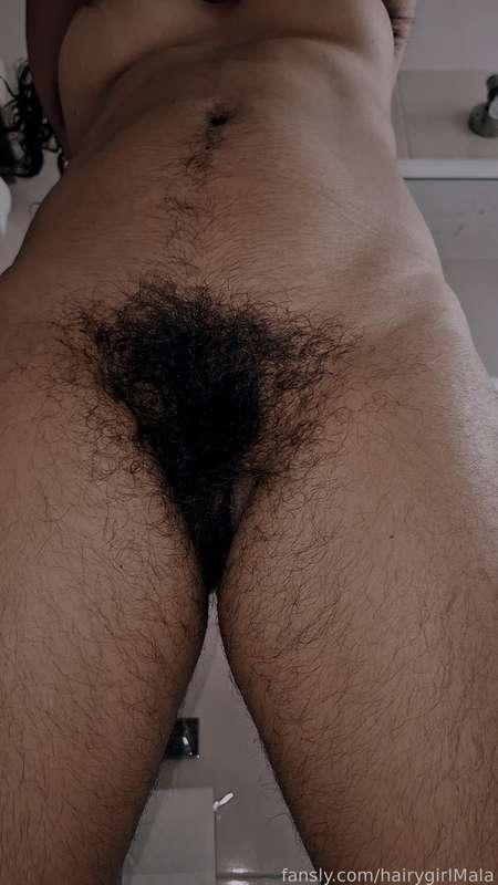 hairygirlmala image #3