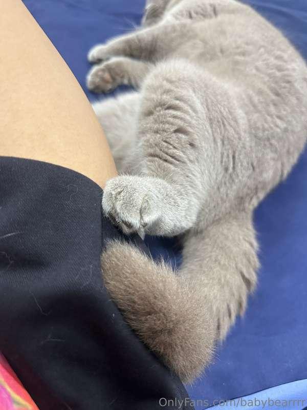 Goodnight 