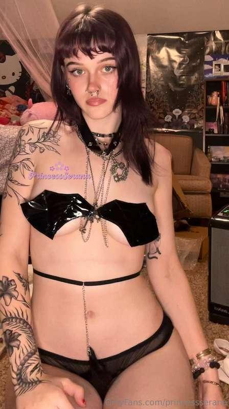 batty🦇