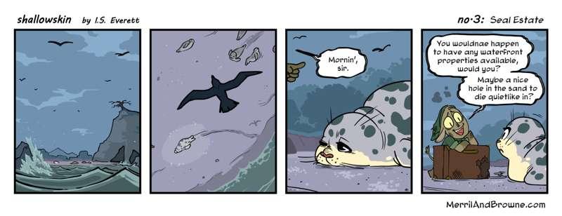 shallowskin Strip #3