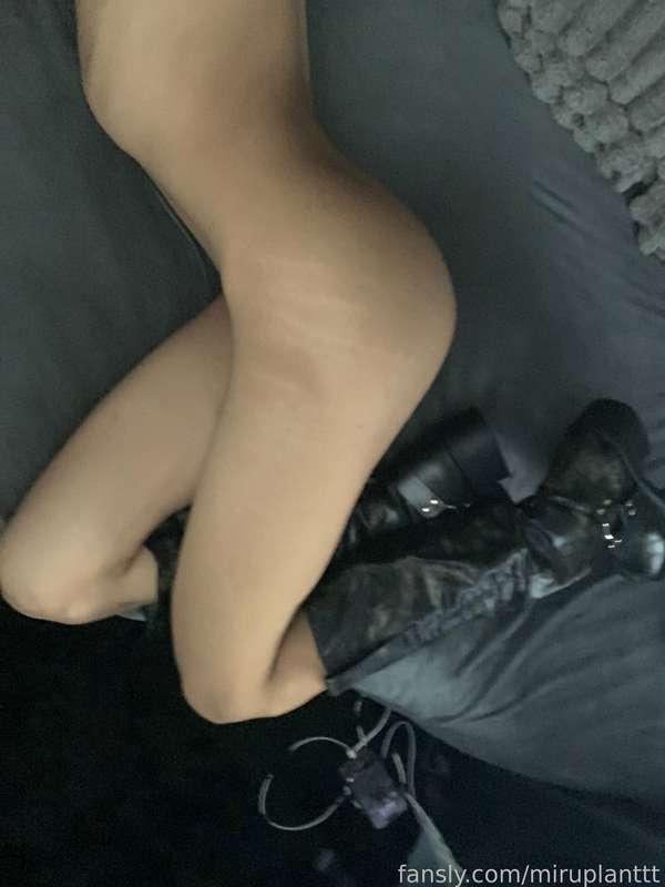 miruplanttt image #20