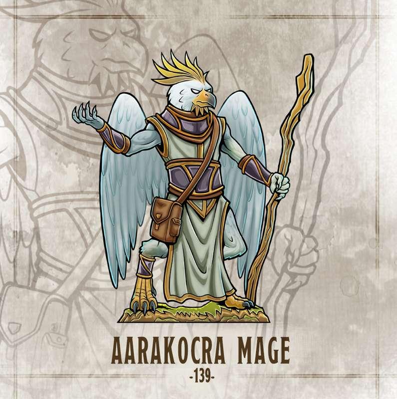 #139 [Reskin] Aarakocra Mage!