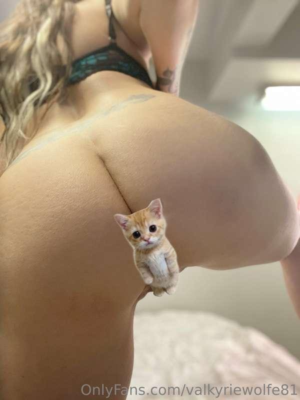 valkyriewolfe81 image #2