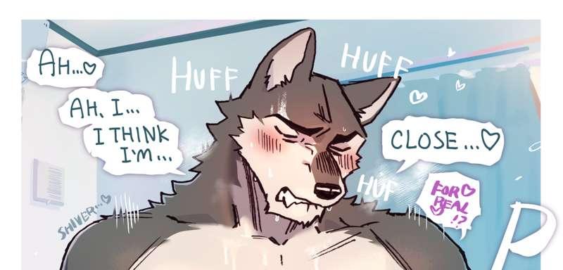 MAY REQUEST