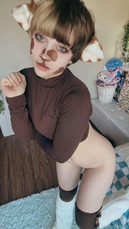 indigowhite image #240