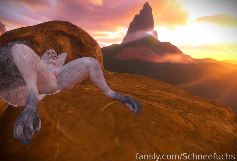 schneefuchs image #0