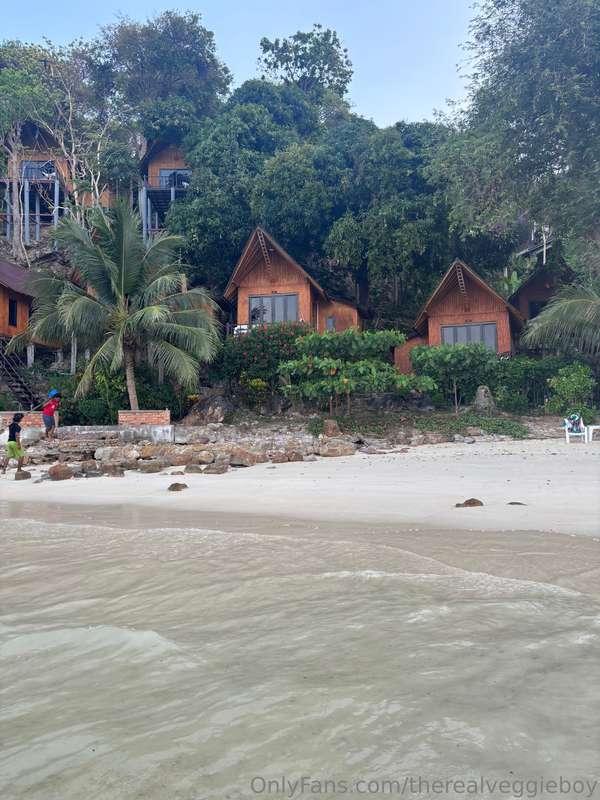 therealveggieboy image #0