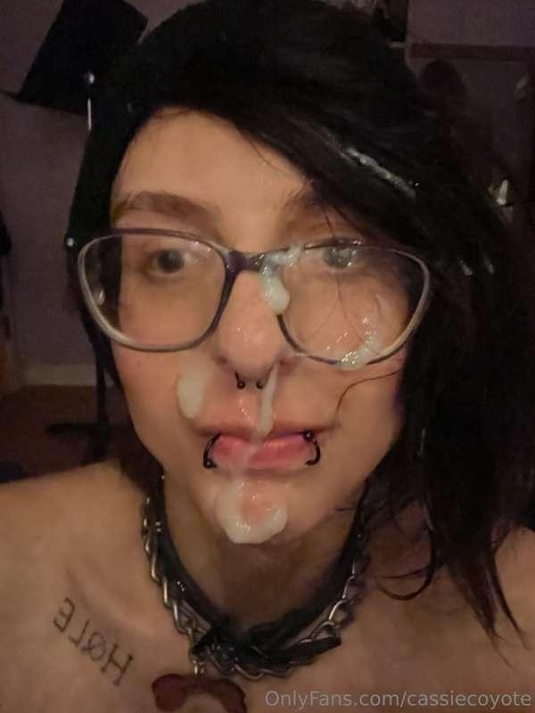 cassiecoyote image #0