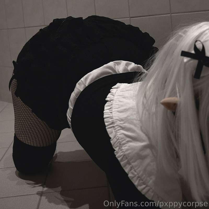 pxppycorpse image #7