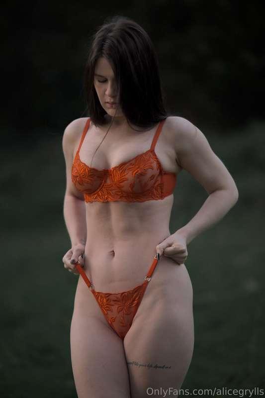 alicegrylls image #1