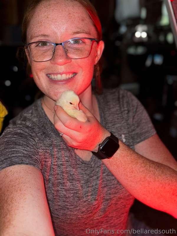 Sorry but I have to share. Look at my new lil chicks! I got ..