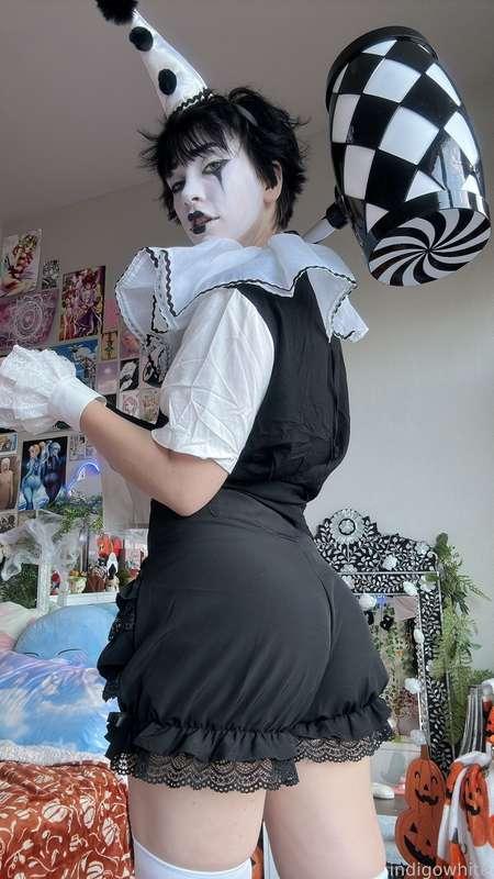indigowhite image #117