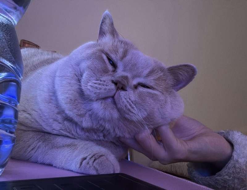 Scratches :3