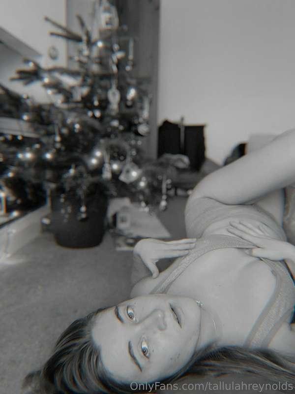 tallulahreynolds image #4