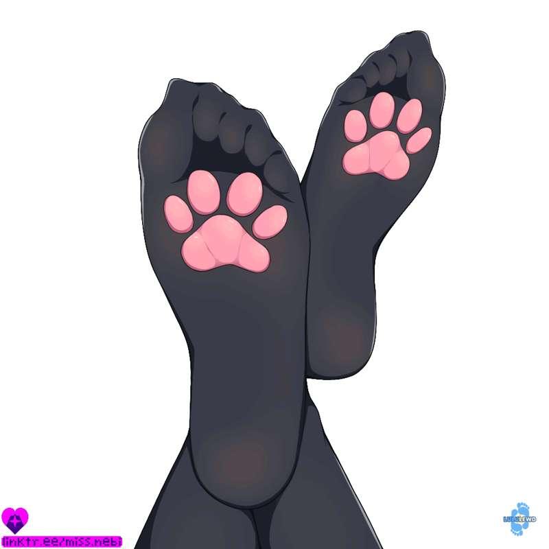 Kitty Socks Spiral 