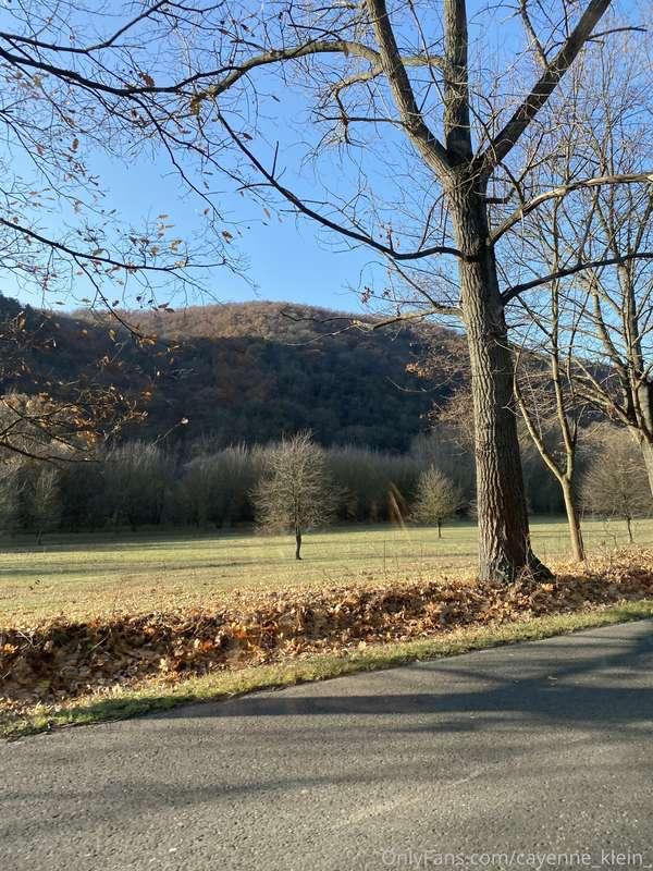 cayenne_klein_ image #18