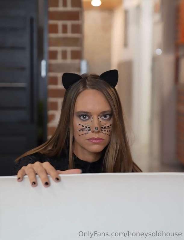 Find out what makes my 🐈 purrrr...