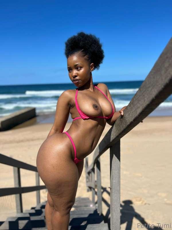 petitetumi main image