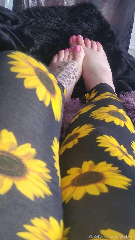 juicyjayci image #1