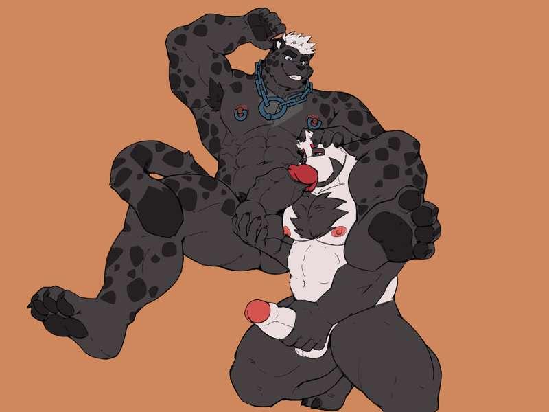 Rubido X Bander(wip)