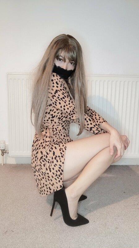 Meow ?