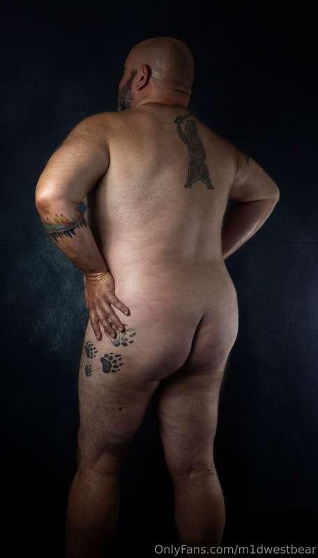 m1dwestbear image #5