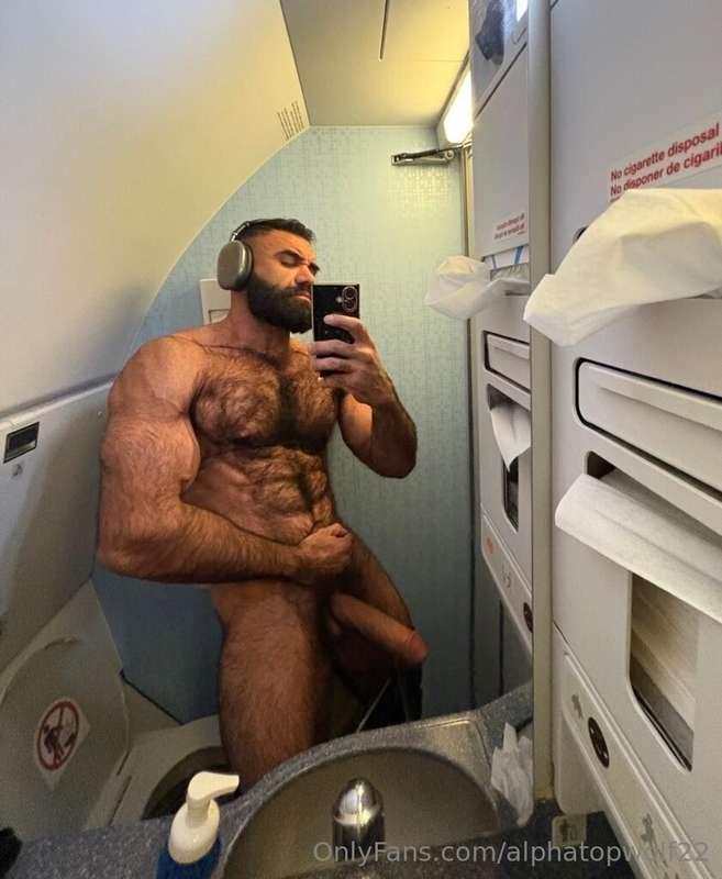 alphatopwolf22 image #3