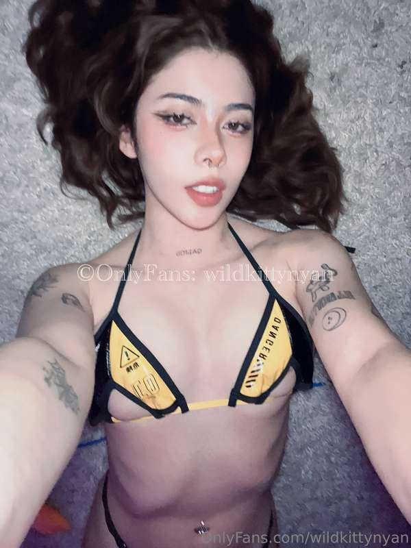 wildkittynyan image #0
