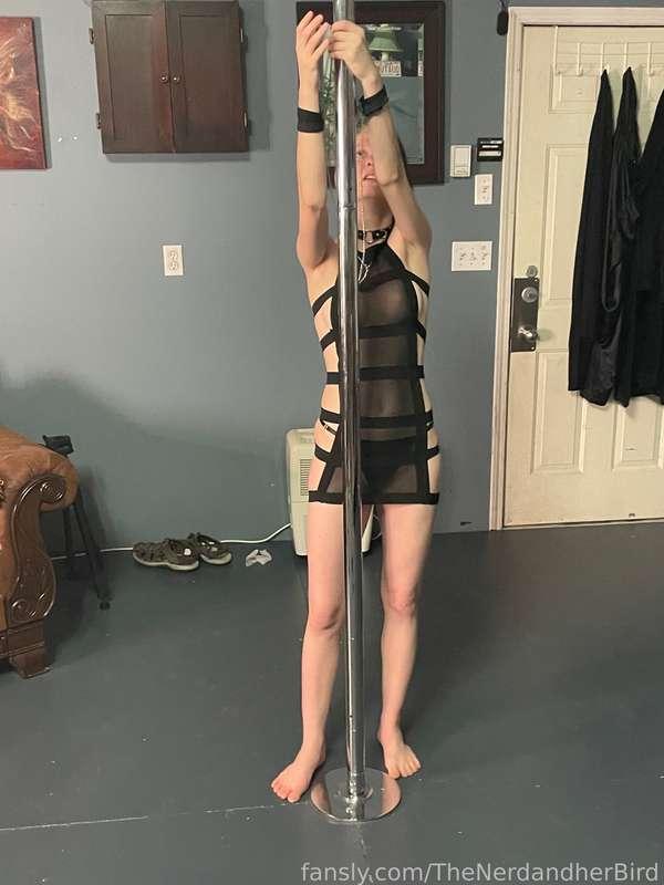 thenerdandherbird image #4