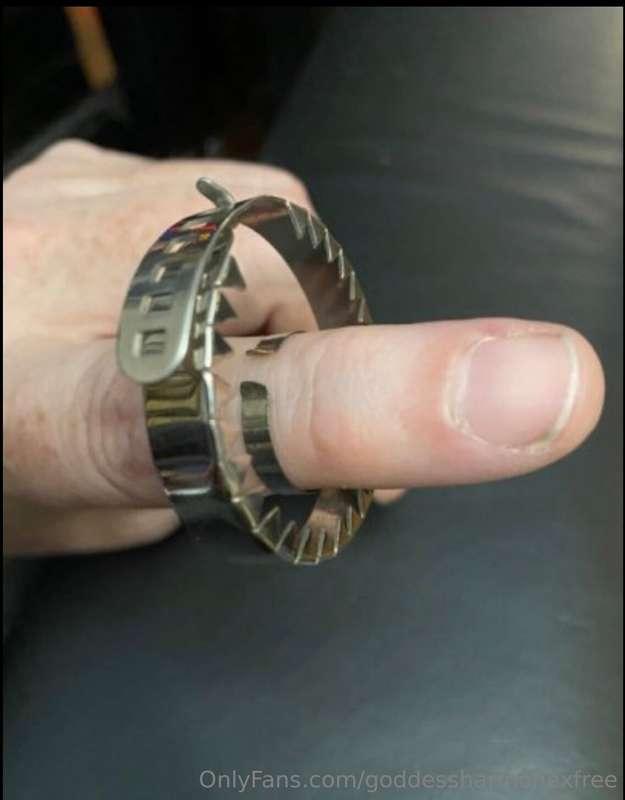 Look! I found the perfect cage for all you pathetic shrimp d..